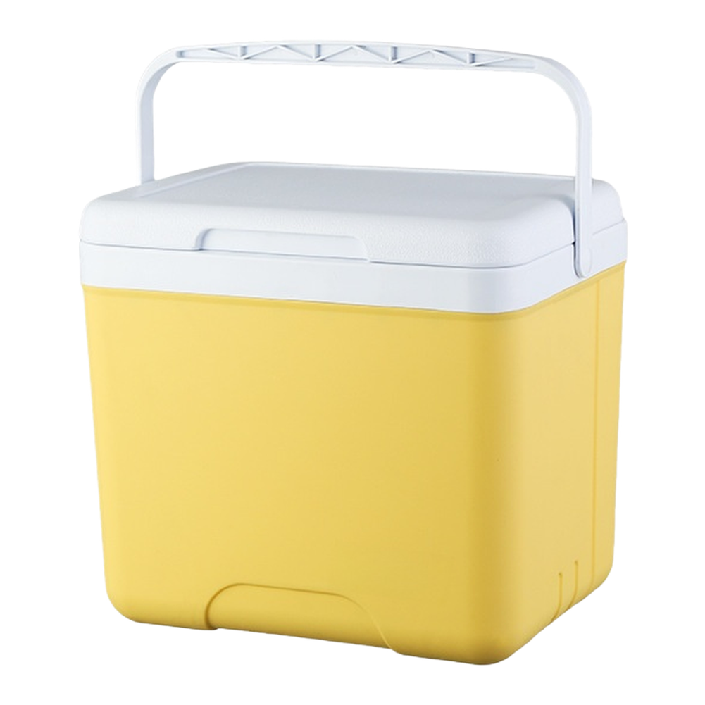 Portable 6L 15L Insulated Cool - Food Storage In Cooler 评论和价格