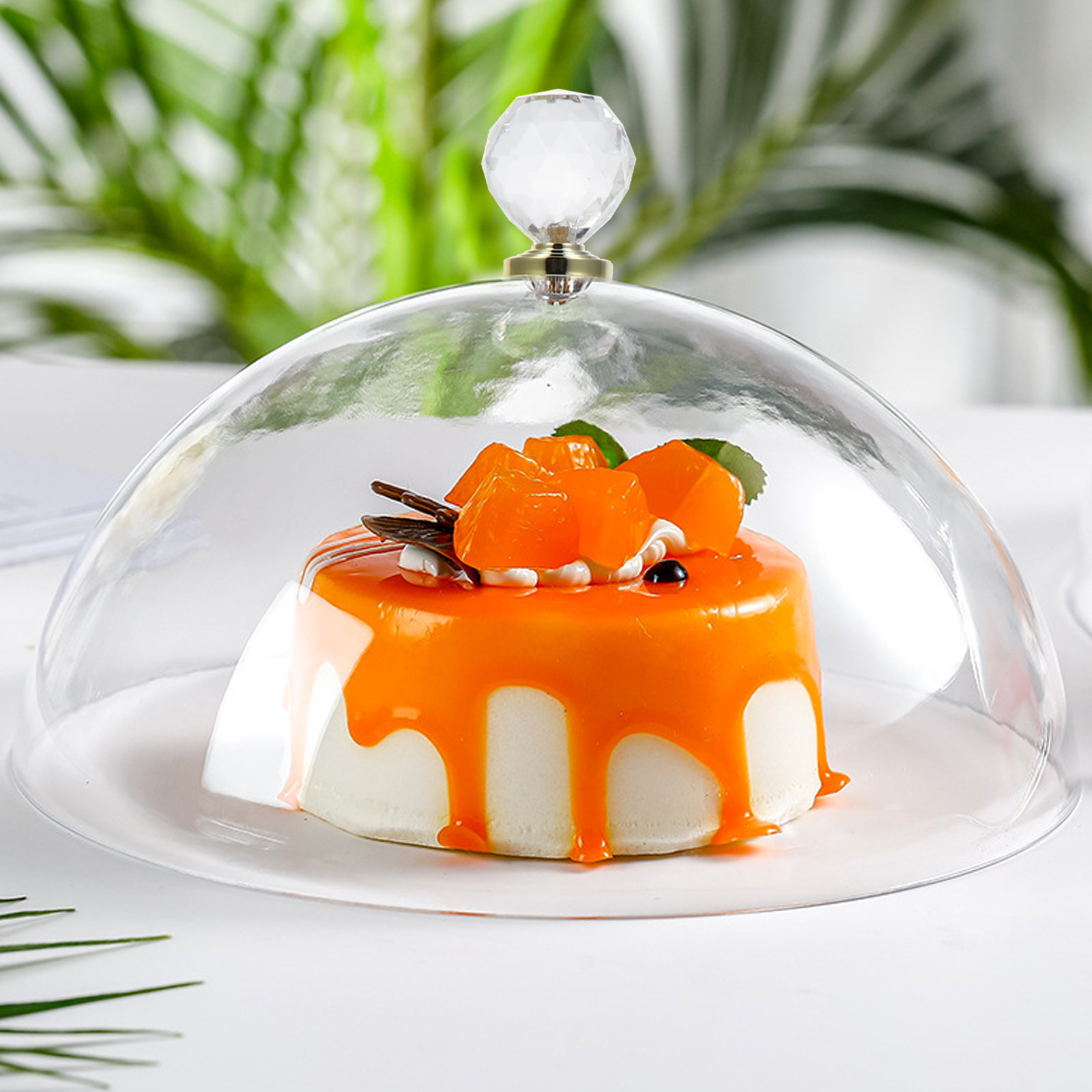 1Pcs Clear Food Cover Dish Sto - Food Storage Practices 评论和价格